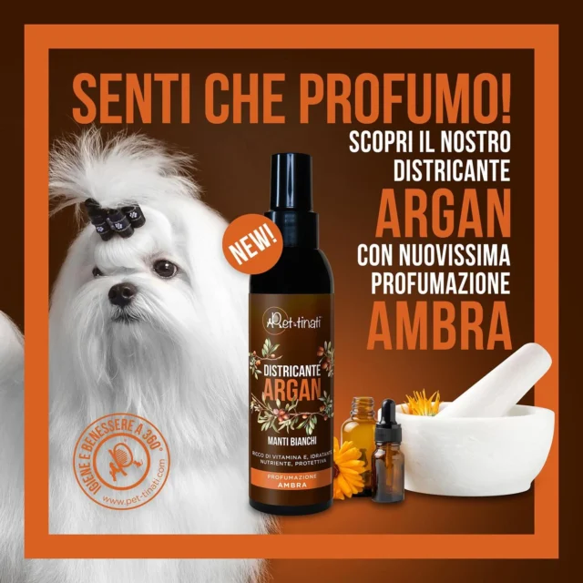🌿 DISTRICANTE A BASE DI ARGAN NUOVA 🆕 profumazione AMBRA 🧡🤎 adatto su TUTTI I MANTI ma specifico per MANTI BIANCHI 🐩 

Il condizionante all’argan IDRATA 💦, NUTRE e PROTEGGE il manto e la cute del cane in quanto esposti ad agenti ambientali “ outdoor “ ed “ indoor “ che li danneggiano come i raggi solari, pollini, inquinamento e la salsedine al mare.

Grazie alle proprietà nutrienti e alla presenza di vitamina E, il pelo viene pulito mantenendo un aspetto sano e luminoso.

È consigliato come prodotto di mantenimento da utilizzare a casa per facilitare la spazzolatura al proprietario evitando di spaccare il pelo e recare dolore all’animale durante la seduta 🤎🐕🐩🧡

AVAILABLE IN SALONE ED ONLINE : https://pet-tinati.com/shop/ 🛍️

#pets #whitedogs #toelettaturaprofessionale #doggrooming #puppies #cosmetics