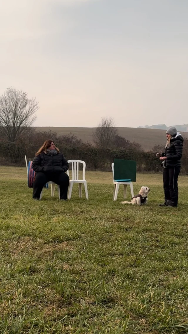 Insieme a Ronny (genio canino) abbiamo concluso nel 2024 la prima parte teorico pratica del Corso Educatori Primo Livello @gentleteamlaghi organizzato dalla grande maestra @alexacapra. Consapevoli che questo e’ solo il punto di partenza e che abbiamo tanto da imparare siamo entusiasti di aver iniziato questo bellissimo percorso di crescita personale e professionale che saremo lieti di condividere con voi clienti pelosi di PET🐾TINATI. Un Grazie speciale a tutti i docenti ed al fantastico gruppo di colleghi🙏🐾🩵

#educatoricinofili #formazione #benessere360 #alexacapra #gentleteam