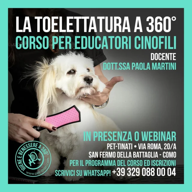 Corso teorico-pratico dedicato ad educatori cinofili qualificati o in formazione presso un centro cinofilo e dog sitter formati 🐾✂️🛁

DURATA: 4 ore ⏱️

LOCATION: @pet_tinati.como - Webinar 💻 - Presso Centro Cinofilo su richiesta. 

KEY 🔑 CONTENTS : 

🐾 Igiene = Salute = Benessere
🐾 La storia della toelettatura e selezione.
🐾 L’apparato TEGUMENTARIO. 
🐾 Ciclo vitale e struttura del pelo e tipologie.
🐾 Manipolazione e sicurezza. 
🐾 Il ruolo dell’educatore. 

#corsi #educatoricinofili #doglovers #educazionecinofila #toelettatura360 #cani #2025